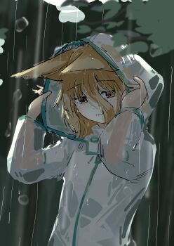 1girl animal_ears blonde_hair blush commentary_request ears_down fox_ears fox_girl from_side hands_up highres hood hood_up kudamaki_tsukasa leaf leftame light_smile looking_at_viewer outdoors rain raincoat see-through_clothes see-through_raincoat solo standing touhou upper_body wet wet_hair yellow_eyes
