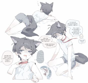 Rule 34 | absurdres, akinashi haru, animal collar, animal ears, ass, black hair, bowl, collar, collar tug, commentary request, disembodied hand, drooling, gloom (expression), grey shorts, highres, korean commentary, korean text, leash, lying, male focus, multiple views, on stomach, oo ttdtrw, pet bowl, saihate eki, shirt, short shorts, short sleeves, shorts, simple background, sitting, suggestive fluid, t-shirt, tail, tatsunami shion, translation request, valentine, white background, white shirt, wolf boy, wolf ears, wolf tail, yaoi, zzz