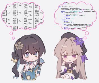 2girls aqua_eyes aqua_gloves biology black_dress black_hair blush brown_hair choker closed_mouth commentary conwoll511 dna_and_rna_codon_table dress english_commentary flower gloves hair_bun hat hat_flower herta_(honkai:_star_rail) herta_(puppet)_(honkai:_star_rail) highres holding holding_instrument honkai:_star_rail honkai_(series) instrument long_hair looking_at_viewer multiple_girls programming_(topic) purple_choker purple_eyes purple_flower python_(programming_language) ruan_mei_(honkai:_star_rail) simple_background upper_body v-shaped_eyebrows very_long_hair white_background