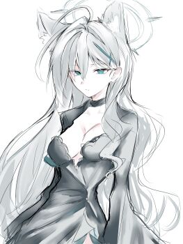 1000cha 1girl absurdres ahoge animal_ear_fluff animal_ears black_choker black_dress black_jacket blue_archive blue_eyes breasts choker cleavage commentary_request cropped_jacket cross cross_hair_ornament dark_halo dress expressionless extra_ears grey_hair hair_between_eyes hair_ornament halo highres inverted_cross jacket jitome long_hair looking_at_viewer medium_breasts mismatched_pupils shiroko_terror_(blue_archive) simple_background sketch solo upper_body white_background wolf_ears wolf_girl