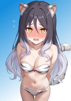1girl @_@ animal_ear_fluff animal_ears bare_shoulders bikini black_hair blue_background blush breasts brown_eyes cleavage commentary_request embarrassed flying_sweatdrops gradient_background gradient_hair grey_hair long_hair medium_breasts multicolored_hair navel nose_blush princess_connect! shiori_(princess_connect!) solo strapless strapless_bikini striped_tail suwampu swimsuit tail tiger_ears tiger_girl tiger_print_bikini tiger_tail white_bikini