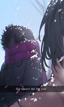 1nuyaki 2girls black_coat black_hair blue_sky caption coat crossed_arms english_text fur-trimmed_coat fur_trim herta_(honkai:_star_rail) highres honkai:_star_rail honkai_(series) multiple_girls purple_scarf ruan_mei_(honkai:_star_rail) scarf sky snowing the_herta_(honkai:_star_rail) winter_clothes winter_coat