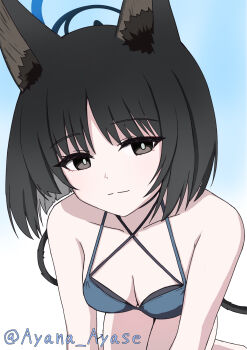 1girl all_fours animal_ear_fluff animal_ears ayana_ayase black_eyes black_hair blue_archive blue_background blue_halo breasts bright_pupils cat_ears cat_girl cat_tail cleavage closed_mouth collarbone commentary_request criss-cross_halter eyes_visible_through_hair gradient_background halo halterneck highres kikyou_(blue_archive) kikyou_(swimsuit)_(blue_archive) medium_breasts multiple_tails official_alternate_costume short_hair simple_background smile solo split_mouth tail tsurime twitter_username two_tails white_background white_pupils
