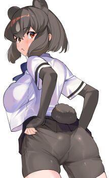 Rule 34 | 1girl, a888 n22, adjusting clothes, animal ears, ass, bear ears, bear girl, bear tail, bike shorts, bike shorts under skirt, black gloves, black hair, black shorts, blush, bow, bowtie, breasts, brown bear (kemono friends), brown eyes, brown hair, clothes lift, clothes pull, clothing cutout, colored inner hair, commentary request, cowboy shot, crop top, crop top overhang, elbow gloves, extra ears, fingerless gloves, from behind, furrowed brow, gloves, grey hair, hair between eyes, hand under clothes, highres, kemono friends, large breasts, layered sleeves, lifting own clothes, long sleeves, looking at viewer, looking back, medium hair, microskirt, multicolored hair, orange eyes, pantylines, pleated skirt, see-through clothes, see-through silhouette, shirt, shirt overhang, short hair, short over long sleeves, short sleeves, shorts, shorts under skirt, sidelocks, simple background, skindentation, skirt, skirt lift, solo, tail, tail through clothes, twisted torso, two-tone hair, undersized clothes, white background, white hair, white shirt
