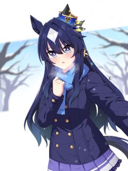 Rule 34 | 1girl, animal ears, bare tree, blue coat, blue eyes, blue hair, blue scarf, blush, breasts, breath, buttons, coat, commentary request, double-breasted, ear covers, hair between eyes, hair ornament, highres, horse ears, horse girl, horse tail, long hair, looking at viewer, mole, mole under eye, multicolored hair, neko reina, parted lips, purple serafuku, purple skirt, scarf, school uniform, serafuku, single ear cover, skirt, snow, solo, tail, tracen school uniform, tracen winter coat, tree, umamusume, verxina (umamusume), winter clothes, winter coat, winter uniform