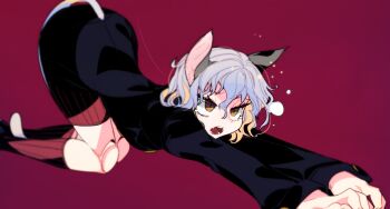 Rule 34 | 1other, animal ears, black jacket, blue hair, brown eyes, cat ears, cat tail, colored inner hair, commentary request, doll joints, hair between eyes, highres, hunter x hunter, idkuroi, jacket, joints, long sleeves, looking at viewer, multicolored hair, neferpitou, open mouth, other focus, own hands together, red background, revision, short hair, simple background, slit pupils, socks, solo, tail