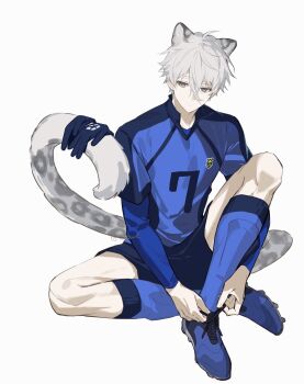 Rule 34 | 1boy, animal ears, black shorts, blue lock, blue shoes, blue socks, cleats, commentary, coulforillust, double-parted bangs, full body, gloves, grey eyes, hair between eyes, highres, kemonomimi mode, layered sleeves, long sleeves, looking to the side, male focus, nagi seishirou, shoes, short over long sleeves, short sleeves, shorts, sideways glance, sitting, snow leopard boy, snow leopard ears, snow leopard tail, soccer uniform, socks, solo, sportswear, symbol-only commentary, tying footwear, white hair