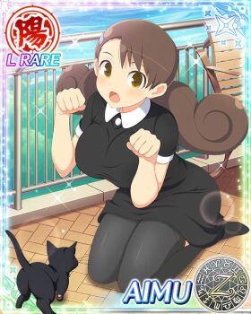 1girl :o aimu_(senran_kagura) bench black_cat black_dress black_shoes black_thighhighs border breasts brown_eyes brown_hair card_(medium) cat character_name curled_ends curly_hair day dress game_cg hair_ornament hairclip kneeling large_breasts leaning_forward looking_at_viewer low_twintails official_art paw_pose seiza senran_kagura senran_kagura_new_wave shoes sitting solo swept_bangs thighhighs twintails