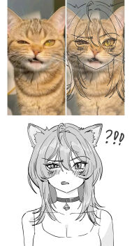 !? 1girl absurdres animal_ear_fluff animal_ears blush cat cat_ears cat_girl choker commentary english_commentary fang greyscale hair_between_eyes highres lineart long_hair looking_at_viewer making-of monochrome original pendant_choker photo-referenced raised_eyebrow reference_inset sketch slit_pupils straight-on wolf_cut wonbin_lee