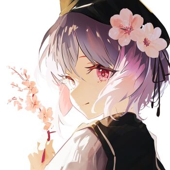 1girl beret black_hat black_ribbon branch cherry_blossoms closed_mouth commentary_request flower from_behind hair_between_eyes hair_flower hair_ornament hat holding holding_branch hosshi_(hosshi_1) looking_at_viewer looking_back mahou_shoujo_no_majo_saiban multicolored_hair pink_eyes ribbon sakuraba_ema short_hair smile solo upper_body white_background white_flower white_hair