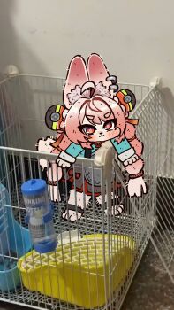 1girl :3 ahoge animal_ears animal_feet animal_nose bluebird_(leh951025) braid dress furry furry_female hair_ornament highres photo-referenced photo_background pink_hair rabbit_ears rabbit_girl red_dress red_eyes red_skirt skirt solo sphere_hair_ornament thick_eyebrows twin_braids v-shaped_eyebrows zenless_zone_zero zhao_(zenless_zone_zero)