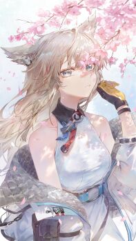 1girl absurdres ahoge animal_ears arknights arknights:_endfield armpit_crease bare_shoulders belt belt_buckle bird_ears bird_girl black_gloves breasts buckle cherry_blossoms collarbone collared_dress dress endfield_industries_logo falling_petals feather_hair fudepenbrushpen gloves hand_up hashtag-only_commentary highres jacket jacket_partially_removed long_hair looking_at_viewer medium_breasts multicolored_gloves off_shoulder open_clothes open_jacket padded_jacket parted_lips perlica_(arknights) petals purple_eyes sidelocks sleeve_pouch sleeveless sleeveless_dress solo tree two-tone_gloves under_tree upper_body white_dress white_hair white_jacket yellow_gloves zipper