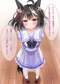 1girl ahoge animal_ears black_hair blush bow bowtie breasts collarbone commentary_request ear_ribbon hair_between_eyes hair_ornament highres horse_ears horse_girl horse_tail kitasan_black_(umamusume) large_breasts looking_at_viewer lpikamasi multicolored_hair parted_lips puffy_short_sleeves puffy_sleeves purple_bow purple_bowtie purple_shirt red_eyes sailor_collar sailor_shirt school_uniform shirt shoes short_hair short_sleeves skirt solo speech_bubble streaked_hair tail thighhighs tracen_school_uniform translation_request umamusume variant_set white_hair white_sailor_collar white_skirt white_thighhighs wooden_floor