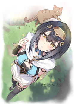 1girl absurdres amber_(stella_sora) black_hair black_thighhighs breasts cat cleavage commentary_request expressionless from_above grass hair_between_eyes hashtag highres looking_at_viewer short_hair signature sleeveless solo stella_sora thighhighs wano_(azayakam) yellow_eyes