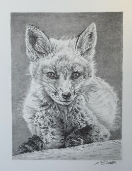 animal animal_focus commentary david_salter english_commentary fox graphite_(medium) greyscale highres monochrome no_humans original photo-referenced photorealistic realistic traditional_media