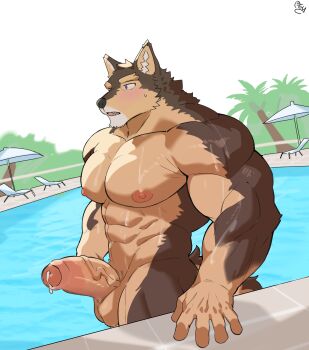 1boy abs animal_ears bara bare_pectorals bey293821 biceps blush brown_fur commentary completely_nude dog_boy dog_ears dog_tail erection fangs foreskin furry furry_male highres live_a_hero looking_to_the_side male_focus muscular muscular_male navel nipples nude open_mouth pectorals penis poolside precum pubraseer_(live_a_hero) signature sweatdrop tail testicles wet