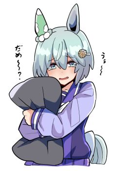 1girl animal_ears blue_eyes blush brown_flower commentary_request flower grey_hair hair_between_eyes hair_flower hair_ornament hairclip horse_ears horse_girl horse_tail hugging_object kawamochi_(kawauti919) long_sleeves looking_at_viewer parted_lips pillow pillow_hug pleated_skirt puffy_long_sleeves puffy_sleeves purple_shirt purple_skirt school_uniform seiun_sky_(umamusume) shirt simple_background skirt solo tail tears tracen_school_uniform translation_request umamusume white_background