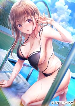 1girl barefoot bikini black_bikini blue_sky breasts brown_eyes brown_hair commentary_request copyright_notice day hand_in_own_hair koga_nozomi large_breasts looking_at_viewer mafupen navel official_art outdoors parted_lips poolside seifuku_kanojo side-tie_bikini_bottom sky solo swimsuit wet