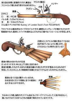 animal antique_firearm bird chart diagram disembodied_feet dreadtie duck duck's_foot_pistol engineering_drawing feet firearm firelock flintlock gun handgun information_sheet japanese_text multiple-barrel_gun no_humans original pistol quadruple-barreled_pistol schematic science side-by-side-barreled_pistol sidearm text_focus translation_request volley_gun weapon weapon_focus weapon_name weapon_profile weird_guns_of_the_world x-ray