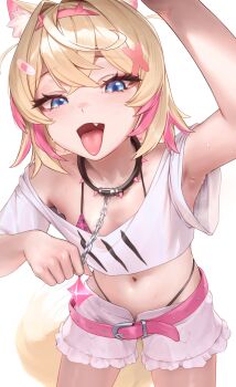 1girl animal_collar animal_ears arm_up armpits bandaid bandaid_hair_ornament belt black_collar blonde_hair blue_eyes bra bra_peek collar commentary cropped_shirt crossed_bangs dog_ears dog_girl dog_tail double-parted_bangs english_commentary fake_horns fang frilled_shorts frills hair_between_eyes hair_intakes hair_ornament hairband highleg highleg_panties highres hololive hololive_english horn_hairband horns leopard_print leopard_print_bra looking_at_viewer midriff mococo_abyssgard mococo_abyssgard_(1st_costume) multicolored_hair navel open_mouth padoruu panties panty_straps pink_belt pink_bra pink_hair pink_hairband print_bra shirt short_hair short_shorts shorts simple_background solo spiked_collar spikes streaked_hair sweat t-shirt tail tongue tongue_out two_side_up underwear virtual_youtuber white_background white_shirt x_hair_ornament