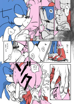 amy_rose anonymous_artist fingering furry hetero highres kiss panties sega sonic_(series) sonic_the_hedgehog underwear