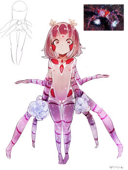 1girl bindi crab expressionless extra_arms facial_mark female_focus flat_chest full_body highres loli monster_girl my700 navel nipples nude original personification pussy reference_photo signature simple_background solo standing uncensored white_background