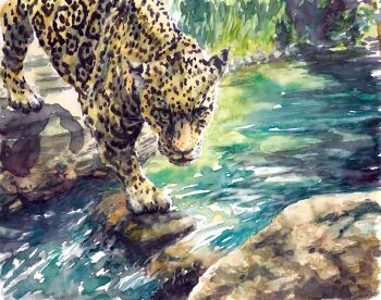 animal animal_focus commentary_request highres leopard looking_at_viewer no_humans original outdoors painting_(medium) sorao_umino stream traditional_media water watercolor_(medium)