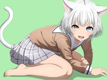 1girl animal_ears bang_dream! bang_dream!_it&#039;s_mygo!!!!! barefoot blue_eyes brown_jacket cat_ears cat_girl cat_tail green_background green_eyes hanasakigawa_school_uniform heterochromia highres jacket kaname_raana looking_at_viewer noshimurin open_mouth school_uniform shirt short_hair simple_background skirt solo tail teeth upper_teeth_only white_hair white_shirt
