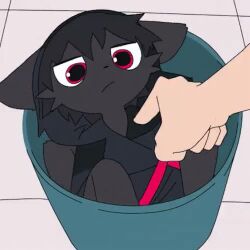 1girl animal_ears animated blaedic bucket cat_ears cat_girl in_bucket in_container lowres original poking red_eyes tagme video