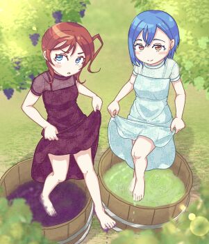 2girls barefoot blue_eyes blue_hair blush clothes_lift dress dress_lift feet food fruit grape_stomping grapes highres long_hair looking_at_viewer love_live! love_live!_superstar!! medium_hair multiple_girls parted_lips red_eyes red_hair smile toes totsumotsu wakana_shiki yoneme_mei