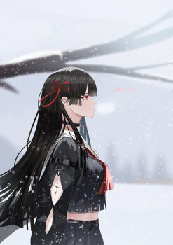 Rule 34 | 1girl, absurdres, arm cutout, black choker, black hair, black jacket, black shirt, black skirt, blurry, blurry background, breasts, chisa (wuthering waves), choker, closed mouth, clothing cutout, commentary, cowboy shot, crop top, dated, hair ribbon, highres, jacket, koucha kouden, long hair, long sleeves, looking ahead, medium breasts, neckerchief, outdoors, red eyes, red neckerchief, red ribbon, ribbon, sailor collar, shirt, signature, skirt, snowing, solo, tacet mark (wuthering waves), white sailor collar, wuthering waves