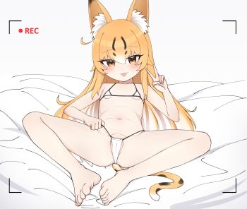 1girl absurdres adjusting_clothes adjusting_swimsuit animal_ear_fluff animal_ears barefoot bikini blonde_hair blush breasts cameltoe cat_ears cat_girl cat_tail closed_mouth dot_nose hand_up highres kenken_(keuken) large_ears loli long_hair looking_at_viewer lying m_legs micro_bikini navel on_back on_bed original serika_(kenken) small_breasts solo spread_legs straight-on swimsuit tail tongue tongue_out v viewfinder white_background white_bikini