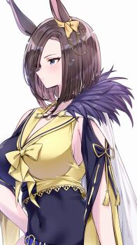 Rule 34 | 1girl, absurdres, air groove (empress road) (umamusume), air groove (umamusume), animal ears, asymmetrical clothes, blue eyes, bow, breasts, brown hair, closed mouth, commentary request, covered navel, ear bow, hand on own hip, highres, horse ears, horse girl, horse tail, large breasts, sailor collar, short hair, simple background, single bare shoulder, solo, tail, tetora (oudonoishiize), umamusume, white background, yellow bow, yellow sailor collar