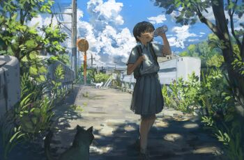 1girl absurdres anko1127 backpack bag black_hair blue_sky bottle bridge bright_pupils brown_eyes cat cloud cloudy_sky commentary_request cumulonimbus_cloud dappled_sunlight day dress_shirt empty_bottle foliage grey_skirt guard_rail highres holding holding_bottle holding_strap open_mouth original outdoors path pleated_skirt ribbed_socks road scenery school_uniform shade shirt shirt_tucked_in shoes short_hair short_sleeves skirt sky slice_of_life socks solo summer sunlight sweatdrop tree utility_pole walking white_pupils white_shirt wide_shot