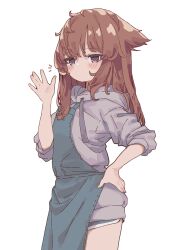 Rule 34 | 1girl, aoi tori, apron, blue apron, blue shorts, blush stickers, brown eyes, brown hair, closed mouth, cowboy shot, dot mouth, drawstring, grey hoodie, hand on own hip, hand up, highres, hood, hood down, hoodie, long bangs, long hair, looking at viewer, notice lines, open hand, original, raika-chan (aoi tori), short shorts, shorts, sidelocks, simple background, solo, straight hair, strap slip, white background