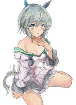 1girl animal_ears bare_shoulders blue_eyes blush breasts brown_choker choker cleavage collarbone commentary_request dress ear_covers flower green_sailor_collar grey_hair hair_between_eyes hair_flower hair_ornament hairclip horse_ears horse_girl horse_tail long_sleeves looking_at_viewer off-shoulder_dress off_shoulder open_mouth parted_lips sailor_collar seiun_sky_(reeling_in_the_big_one)_(umamusume) seiun_sky_(umamusume) short_hair simple_background single_ear_cover small_breasts smile solo sunflower sunflower_hair_ornament tail umamusume white_background white_dress yanagi_wakana yellow_choker