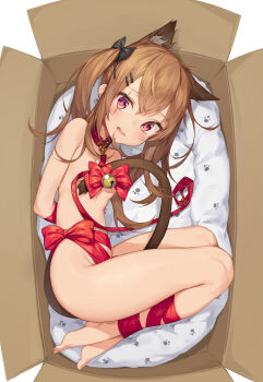 1girl absurdres animal_ears arms_behind_back barefoot bdsm bell blush bondage bound bow box breasts bright_pupils brown_hair cat_ears cat_tail collar convenient_censoring embarrassed female_focus full_body gift_wrapping girls'_frontline hair_bow hair_ornament hairclip highres in_box in_container jingle_bell leash loli long_hair looking_at_viewer lying mokew naked_ribbon on_side pet_play pink_eyes restrained ribbon ribbon_bondage scar scar_across_eye scar_on_face sidelocks slave small_breasts solo tail tail_bell tail_bow tail_ornament teardrop twintails ump9_(girls'_frontline)