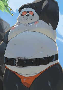 1boy absurdres animal_ears arknights arknights:_endfield arm_up bara bare_pectorals belly belt biceps bulge closed_mouth commentary da_pan_(arknights) fat fat_man furry furry_male highres leather_belt looking_at_viewer looking_down male_focus male_swimwear nipples o3o_luri panda_boy panda_ears pectorals red_male_swimwear small_penis smile sparkle sunglasses untranslatable_commentary topless_male