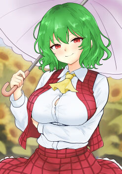 1girl arms_around_waist ascot blurry blurry_background breasts button_gap buttons closed_mouth collared_shirt commentary_request cowboy_shot field flower flower_field frilled_skirt frills green_hair hair_between_eyes highres hinben holding holding_umbrella kazami_yuuka large_breasts light_blush long_sleeves looking_at_viewer outdoors parasol plaid_clothes plaid_skirt plaid_vest red_eyes red_skirt red_vest shirt shirt_tucked_in short_hair skirt skirt_set smile solo sunflower sunflower_field touhou umbrella vest white_shirt yellow_ascot