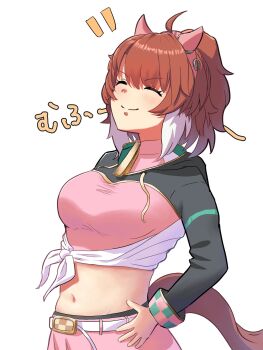 1girl ahoge animal_ears black_leggings black_shrug blush breasts brown_hair closed_eyes closed_mouth dantsu_flame_(center_spotlight)_(umamusume) dantsu_flame_(umamusume) ear_covers hair_between_eyes hashtag-only_commentary highres horse_ears horse_girl horse_tail large_breasts leggings leggings_under_shorts long_sleeves midriff multicolored_hair navel nitoromanbo pink_shirt pink_shorts shirt shorts shrug_(clothing) simple_background smile solo tail tied_shirt umamusume white_background white_hair white_shirt