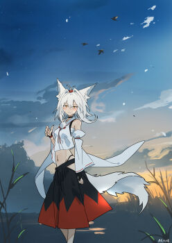 1girl absurdres animal_ears black_choker black_gloves black_hakama blue_sky choker closed_mouth clothing_cutout cloud cloudy_sky commentary day detached_sleeves gloves hair_intakes hakama half_gloves hat highleg highleg_panties highres inubashiri_momiji japanese_clothes kakaricho_dairi looking_at_viewer medium_hair midriff navel outdoors panties pom_pom_(clothes) red_hakama red_hat sarashi shirt side_cutout sky sleeveless sleeveless_shirt smile solo standing tail tokin_hat touhou twilight two-tone_hakama underwear white_hair white_shirt white_sleeves wind wolf_ears wolf_girl wolf_tail yellow_eyes