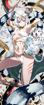 1girl absurdres animal_ears anklet arabian_clothes armlet armpits arms_up azarashi_(azrsot) black_hair blue_eyes blush bracelet breasts circlet commission dancer harem_outfit highres jewelry long_hair looking_at_viewer multicolored_hair navel original short_hair skeb_commission small_breasts solo tail tiger tiger_ears tiger_girl tiger_tail two-tone_hair very_long_hair white_hair