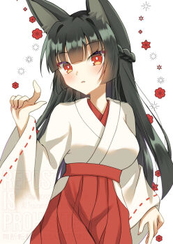 1girl alternate_costume animal_ear_fluff animal_ears blunt_bangs commentary_request cowboy_shot fox_ears fox_girl hakama highres hoshimi_miyabi japanese_clothes miko nami7711 orange_eyes red_hakama solo white_kosode zenless_zone_zero