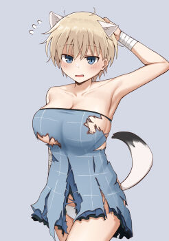 1girl animal_ears bad_link blonde_hair blue_eyes brave_witches breasts collarbone emu_1316 hand_on_own_head highres large_breasts looking_at_viewer nikka_edvardine_katajainen panties short_hair simple_background solo standing tail torn_clothes underwear weasel_ears weasel_girl weasel_tail white_panties world_witches_series