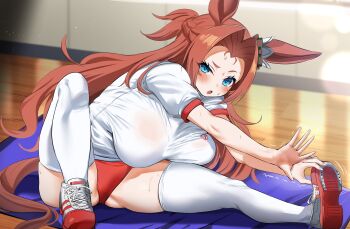 1girl alternate_costume animal_ears bloomers blue_eyes breasts buruma full_body gym_uniform highres horse_ears horse_girl horse_tail kawakami_princess_(umamusume) large_breasts maou_(maoudaisukiya) shirt shoes solo stretching sweatdrop t-shirt tail thighhighs trembling umamusume underwear