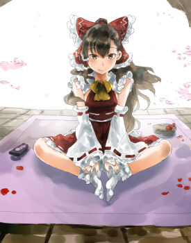 Rule 34 | 1girl, bow, bowtie, brown eyes, brown hair, butterfly sitting, chinese commentary, commentary, detached sleeves, dress, foliage, frilled bow, frilled shirt collar, frills, hair bow, hair tubes, hakurei reimu, highres, knees, lips, long hair, looking at viewer, mang zhu, petals, pink blanket, ponytail, red bow, red dress, red petals, red sash, red skirt, ribbon-trimmed sleeves, ribbon trim, sandals, sash, single hair tube, sitting, sketch, skirt, smile, socks, solo, split mouth, tabi, tiles, touhou, unworn sandals, white socks, yellow bow, yellow bowtie