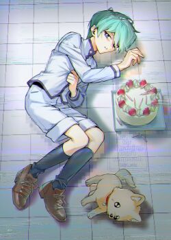 1boy 4_cdq birthday_cake black_socks blue_eyes brown_shoes cake candle food full_body glitch green_hair jacket kaiba_noah long_sleeves looking_at_viewer male_focus on_ground shoes short_hair shorts socks solo stuffed_animal stuffed_dog stuffed_toy tears white_jacket white_shorts yu-gi-oh! yu-gi-oh!_duel_monsters