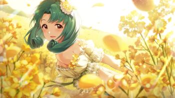 1girl arm_garter bare_shoulders blush brown_eyes commentary_request day dress field flower flower_field from_side game_cg green_hair idolmaster idolmaster_million_live! idolmaster_million_live!_theater_days looking_at_viewer looking_to_the_side official_alternate_costume official_art open_mouth outdoors short_hair smile solo sunlight third-party_source tokugawa_matsuri white_dress yellow_flower