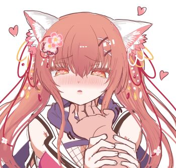 Rule 34 | 1boy, 1girl, animal ear fluff, animal ears, bare shoulders, blush, cat ears, cat girl, commentary request, flower, furrowed brow, fuuma yura, hair between eyes, hair flower, hair ornament, hair ribbon, hand on another's chin, heart, heart-shaped pupils, highres, holding another's wrist, long hair, looking at viewer, lovestruck, neko-nin exheart, ninja, nose blush, open mouth, orange eyes, orange hair, petting, pink flower, pov, pov hands, purple scarf, red ribbon, rialickpero, ribbon, scarf, sidelocks, simple background, solo focus, symbol-shaped pupils, twintails, upper body, white background, x hair ornament