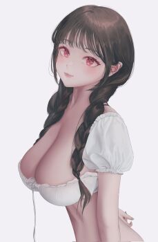 Rule 34 | 1girl, black hair, braid, braided twintails, breasts, cleavage, closed mouth, commentary request, corrupted twitter file, cropped shirt, detached sleeves, eyelashes, from side, hair over shoulder, highres, korean commentary, large breasts, long hair, looking at viewer, looking to the side, nyang (nya aaang), original, red eyes, shirt, simple background, solo, upper body, white background, white shirt, wispy bangs